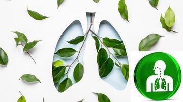 5 Best Supplements for Respiratory Health