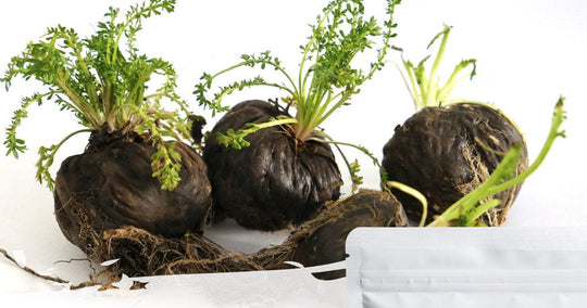 11 Things to Know About Black Maca: Honest Answers, No Hype