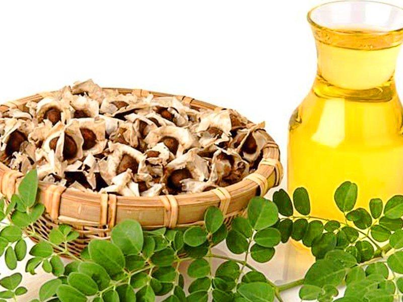 What's so Important About Moringa Oil and How to Select a Great Quality - Mother Nature Organics