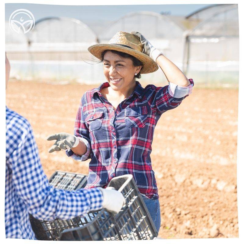 A woman in a straw hat and plaid shirt smiles while talking to another person, holding a basket, in a sunlit field with greenhouses in the background.
