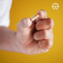 USDA Organic Maca Root Capsules