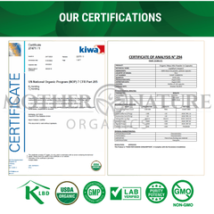 USDA Organic Maca Root Capsules