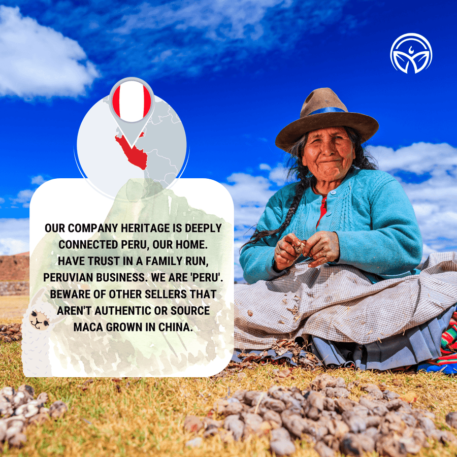 Woman in traditional dress at a maca harvest in the Peruvian Andes, with a note on our Peruvian roots