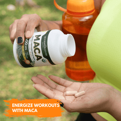 USDA Organic Maca Root Capsules